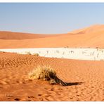 Da unten liegt das Deadvlei