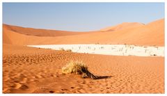 Da unten liegt das Deadvlei