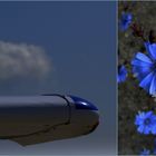 Da wachsen blaue Bümchen unterm Flugzeug...