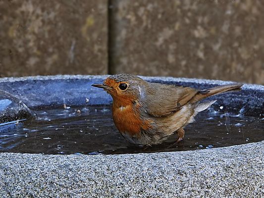 da war auch schon mal mehr Wasser drin