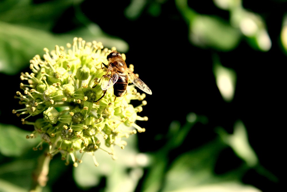 da war der Sommer schon fast rum..