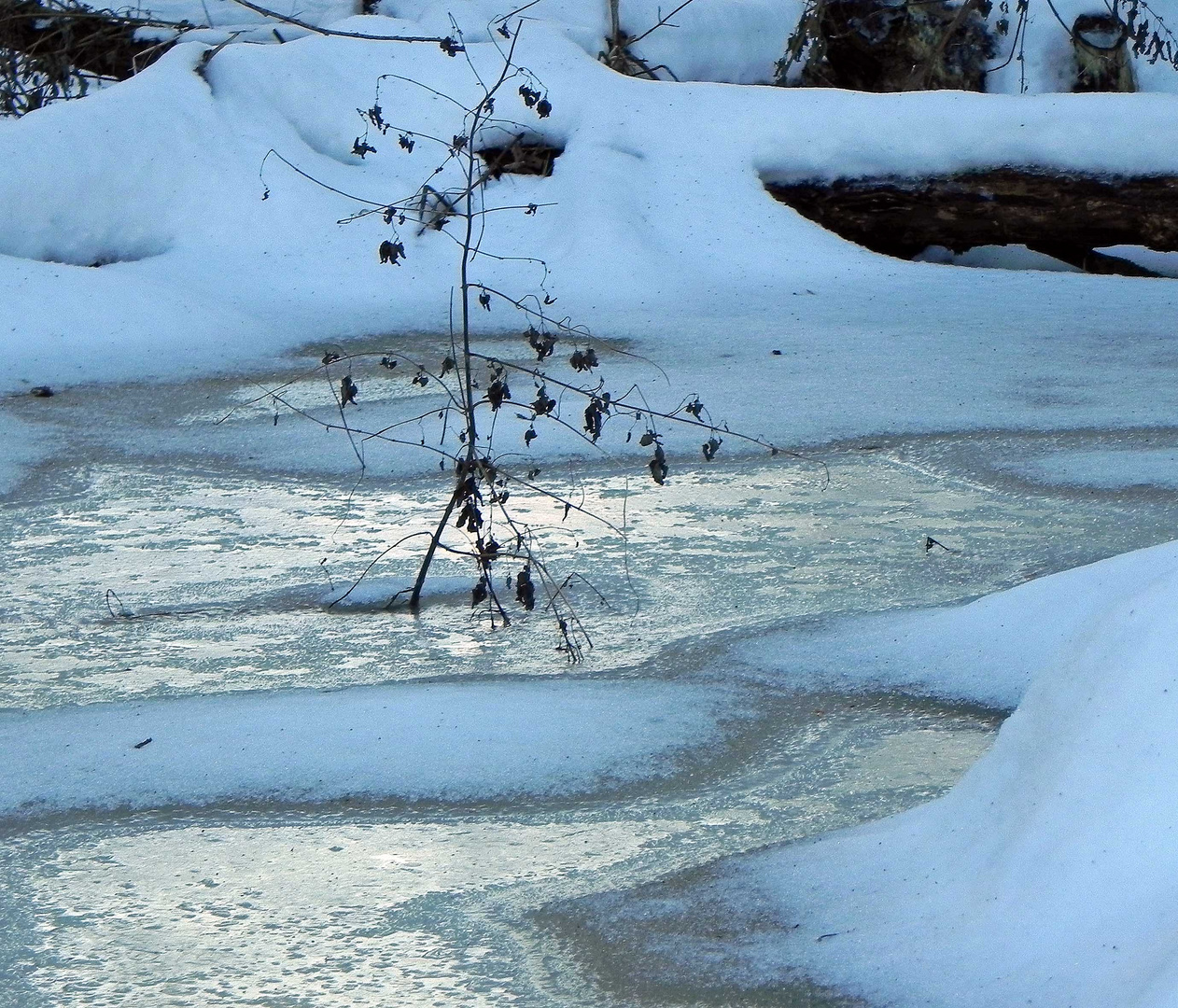 da war er noch da - der Winter