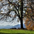 Da war noch "Goldener Oktober".