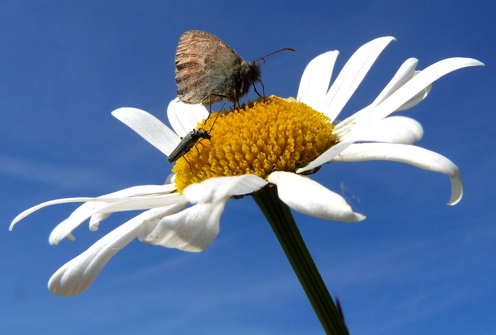 Da war noch Sommer