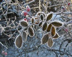 Da war noch überall Schnee