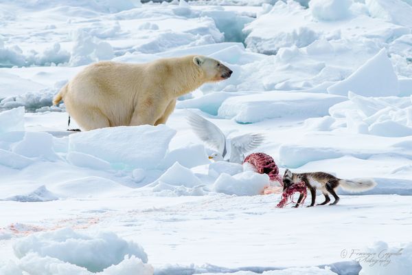 da will ich doch nur kurz ...