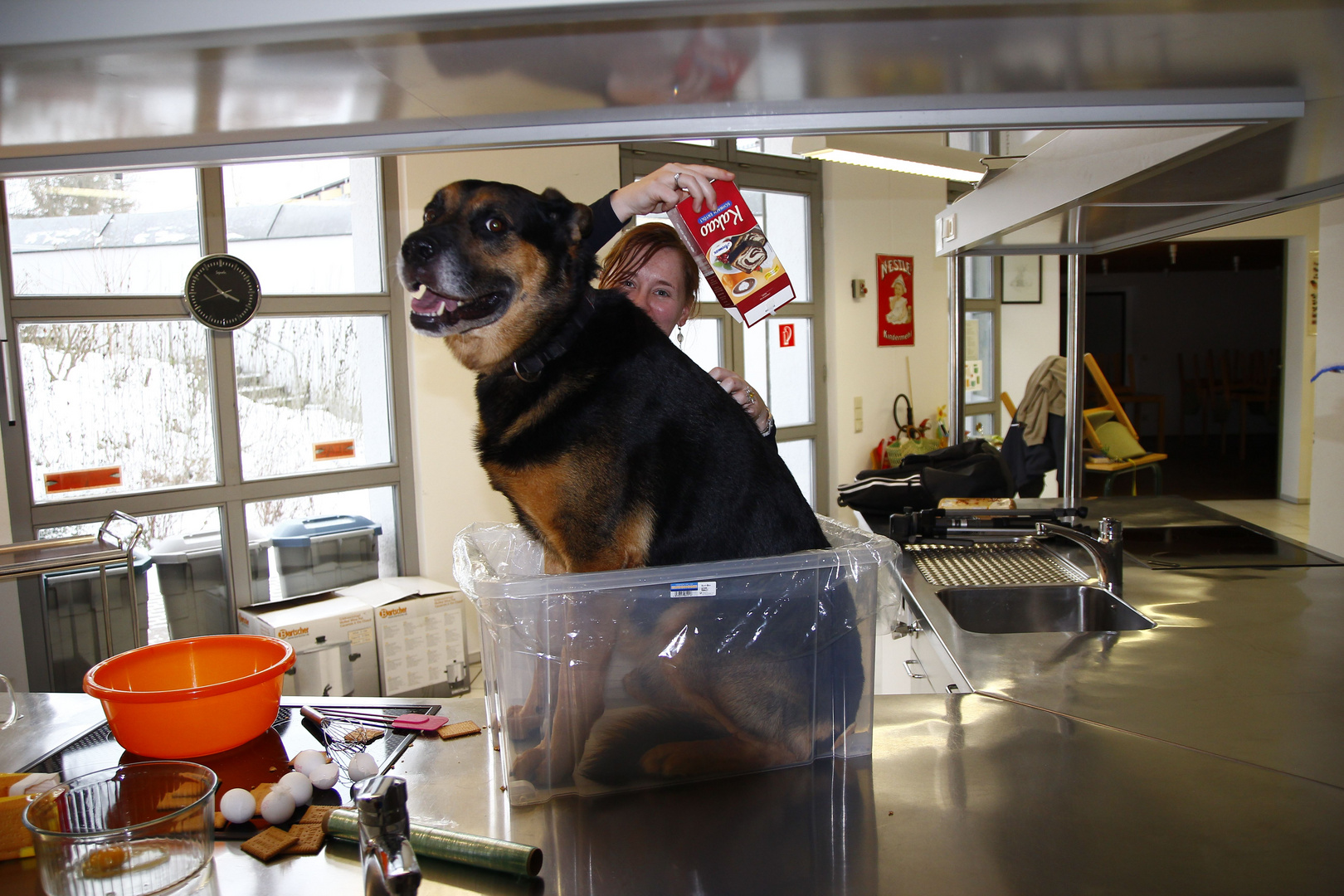 Da wird der Hund doch in der Pfanne verrrückt