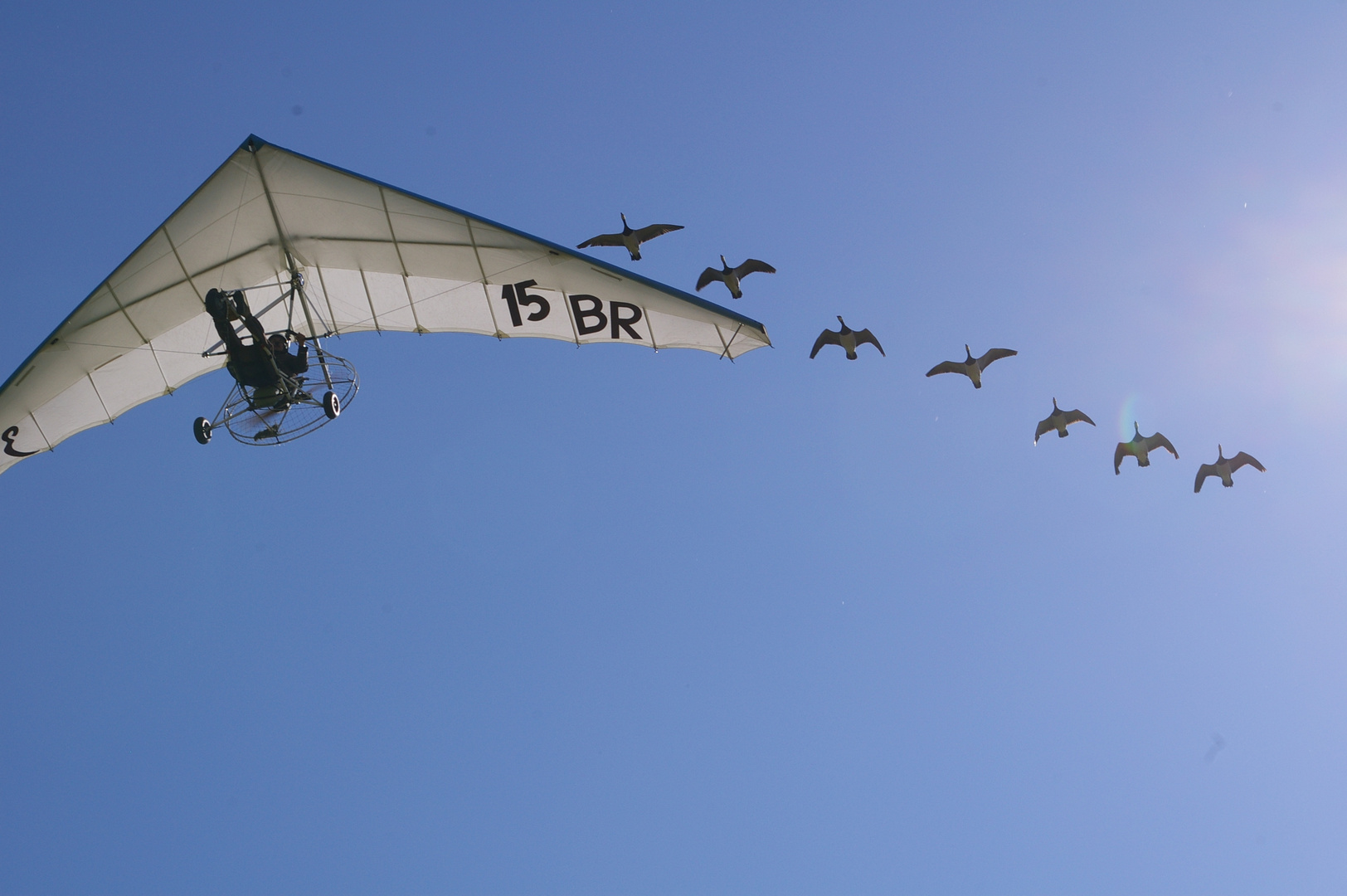 Da wird immer behauptet Flugzeuge und Natur vertragen sich nicht...