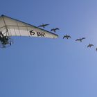 Da wird immer behauptet Flugzeuge und Natur vertragen sich nicht...