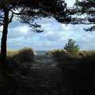 da wo de möwen schrieen. gell int stormgebrus, dor is mine heimat, dor bün ick to hus!