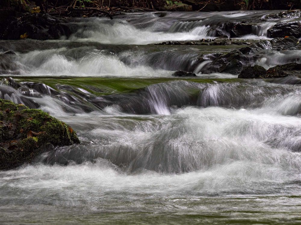 da wo der wildbach rauscht .....