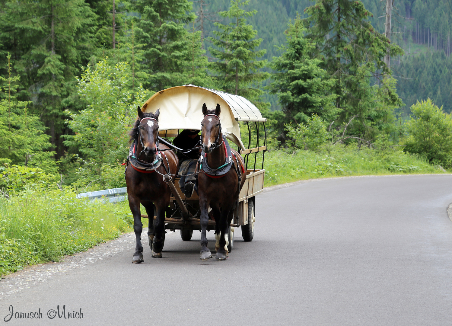 Da wo des Auto nicht darf...