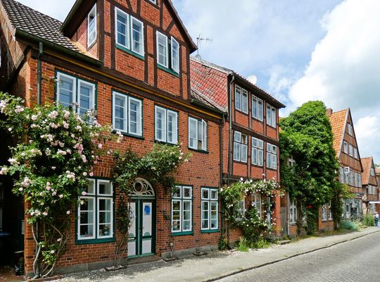 Da wo die Rosen blühen