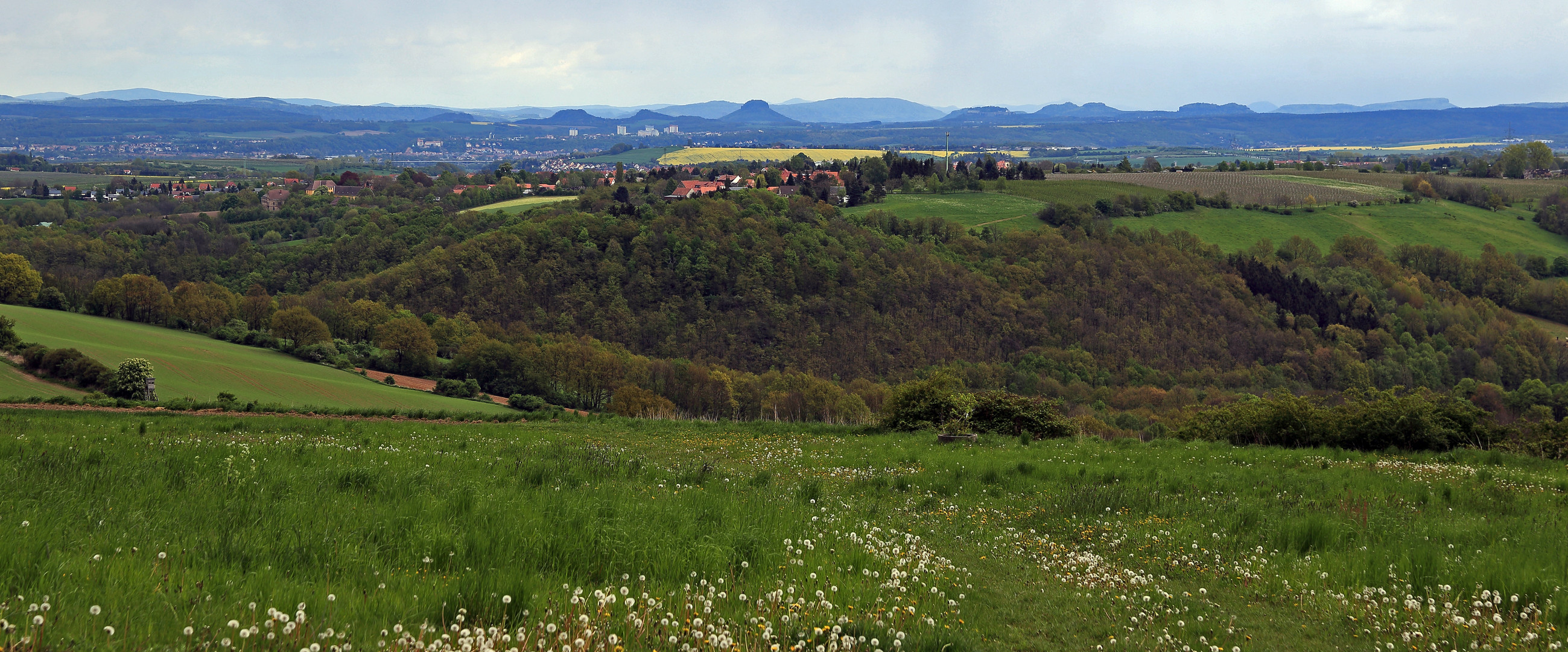 Da wo die Siedlung Panoramablick in die Sächsische Schweiz entstehen soll...