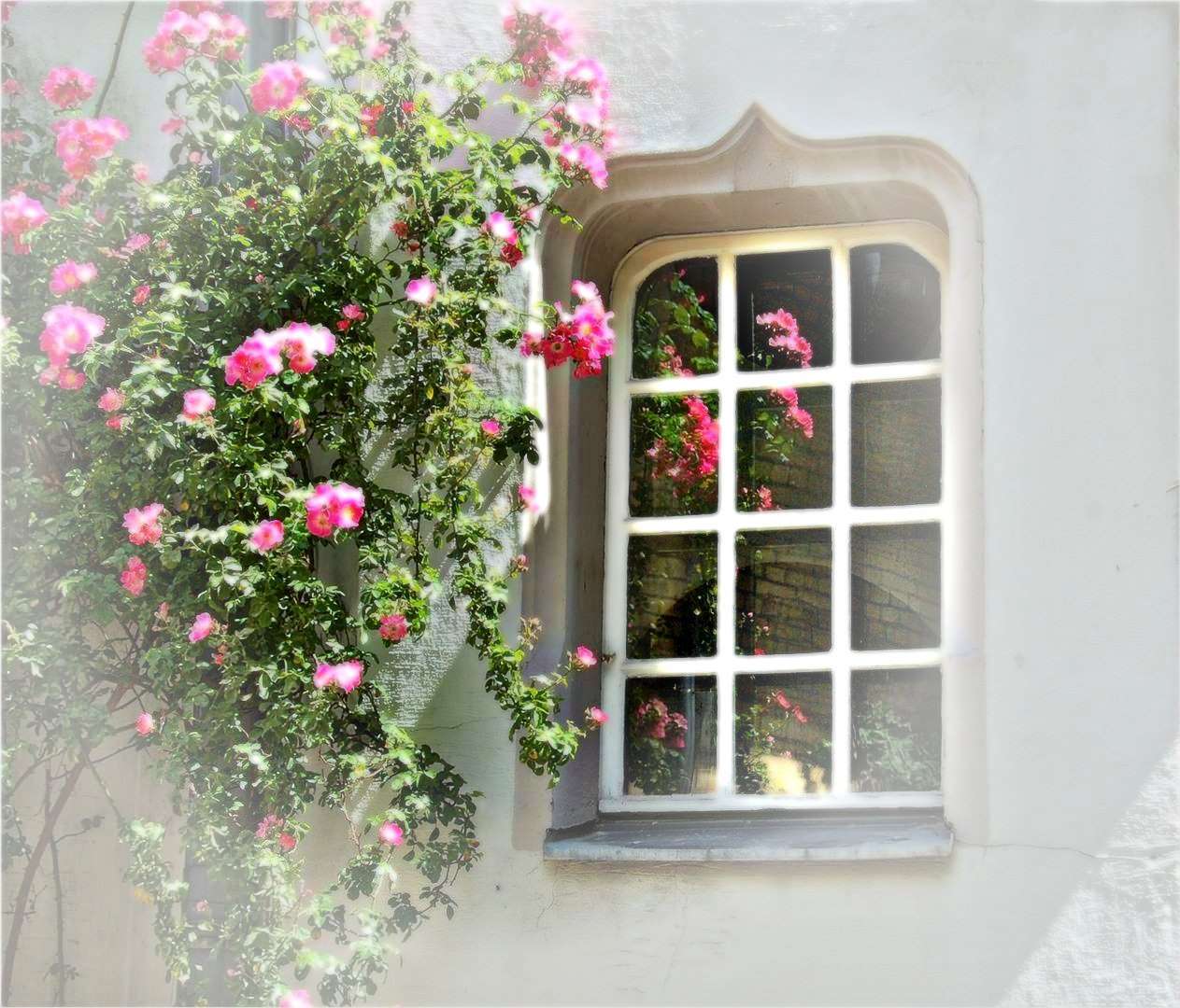 Da wuchs die Hecke riesengroß ...