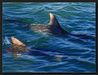 Shark Bay