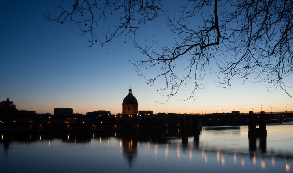 Toulouse de babec 