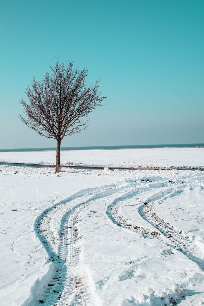 Ostsee, Spuren im Schnee von Nuripocahontas