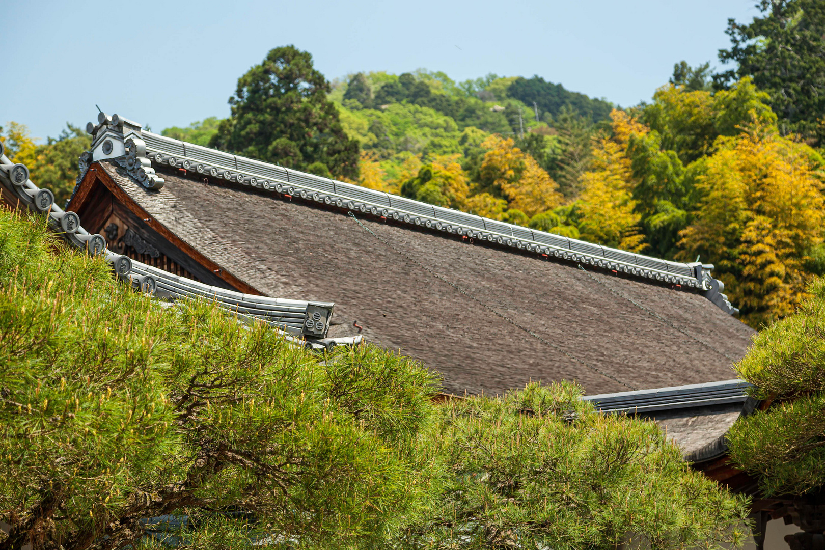 Dach des Hondo (Haupthalle) / Roof of the hondo (main hall)