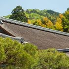 Dach des Hondo (Haupthalle) / Roof of the hondo (main hall)