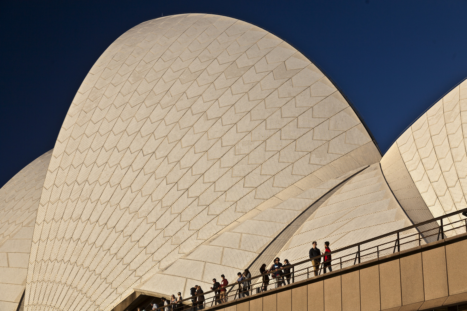 Dach des Opernhauses in Sydney