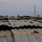 Dach in der Türkei