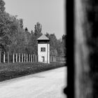 Dachau-1