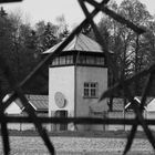 Dachau 29 April 2010-