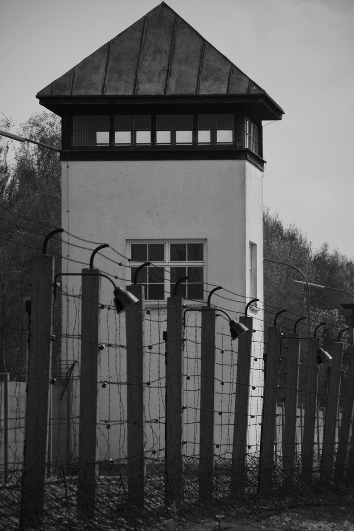 -Dachau 29 April 2010-