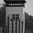 -Dachau 29 April 2010-