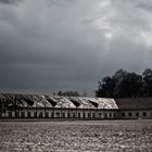 Dachau #4