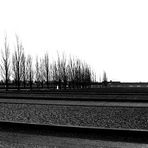 dachau #8