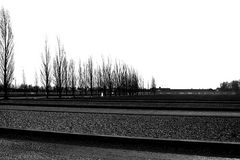 dachau #8