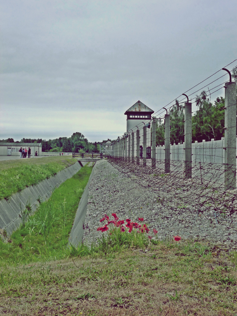 Dachau - campo di concentramento