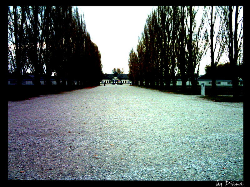 dachau...