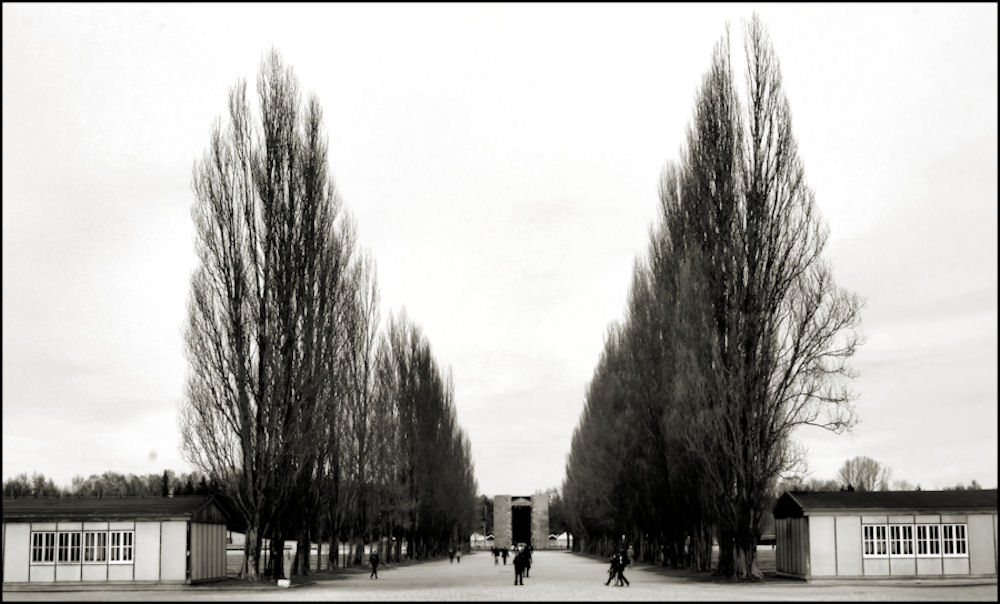 Dachau - Die TodesAllee