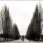 Dachau - Die TodesAllee