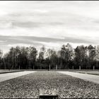 Dachau - Feld 4