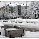 Dachauer Straße München