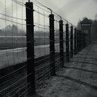 Dachaus Geschichte.