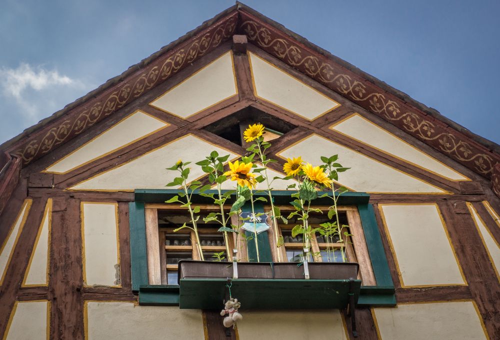 Dachfenster