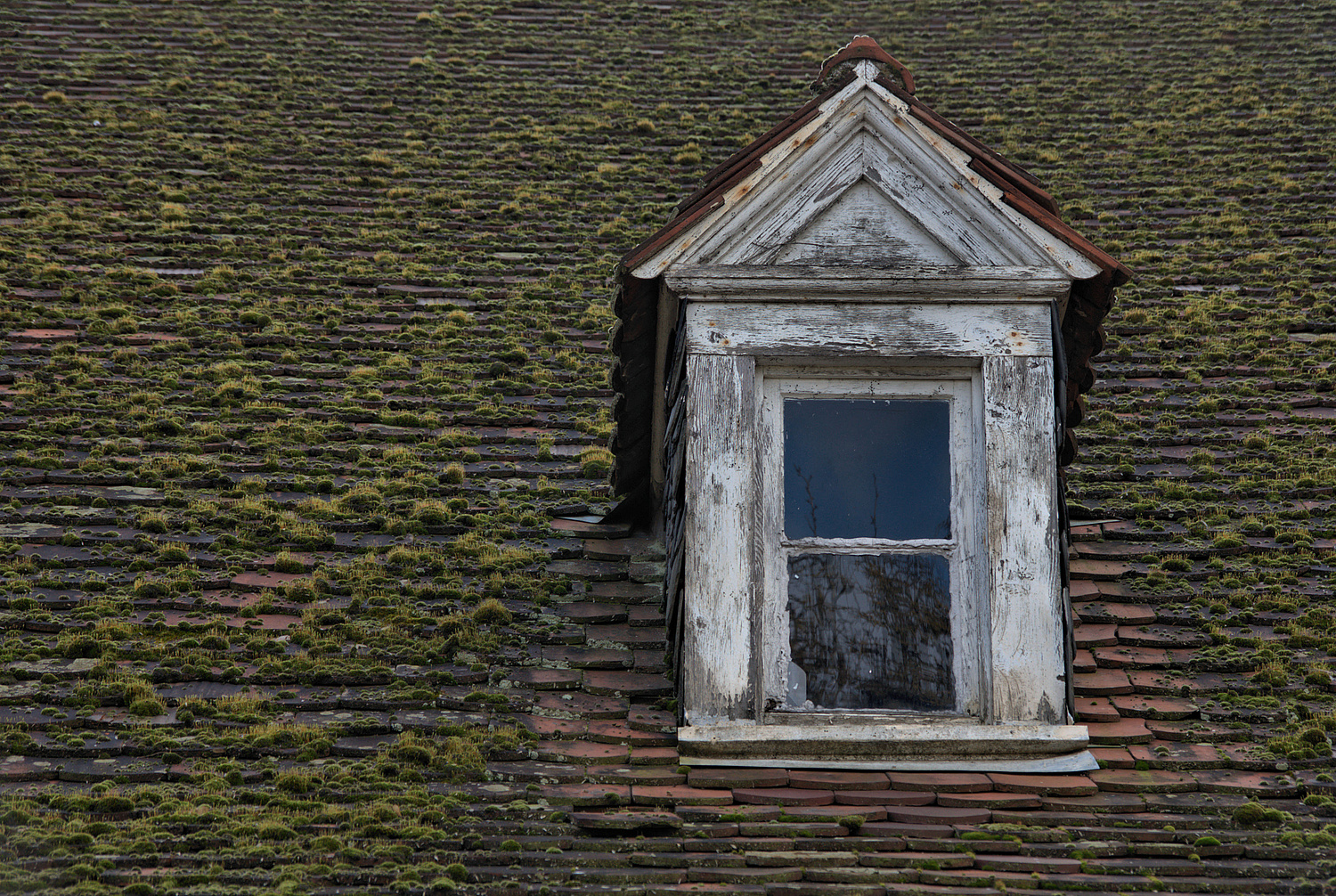 Dachfenster