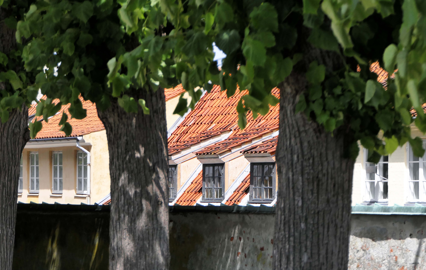 Dachfenster hinter der Mauer eines Schloßparks