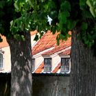 Dachfenster hinter der Mauer eines Schloßparks