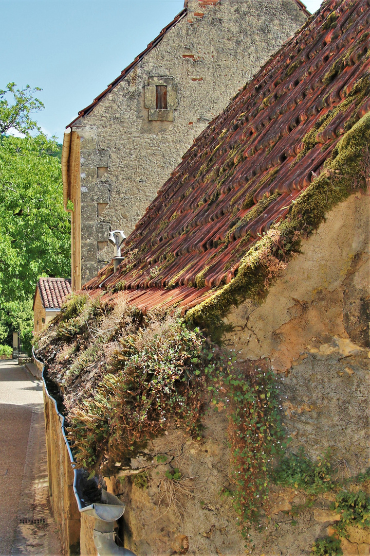 Dachgarten