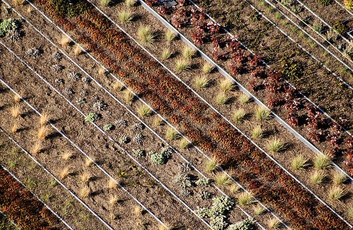 Dachgarten