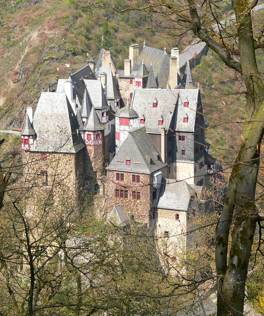 Dachlandschaft Burg Eltz