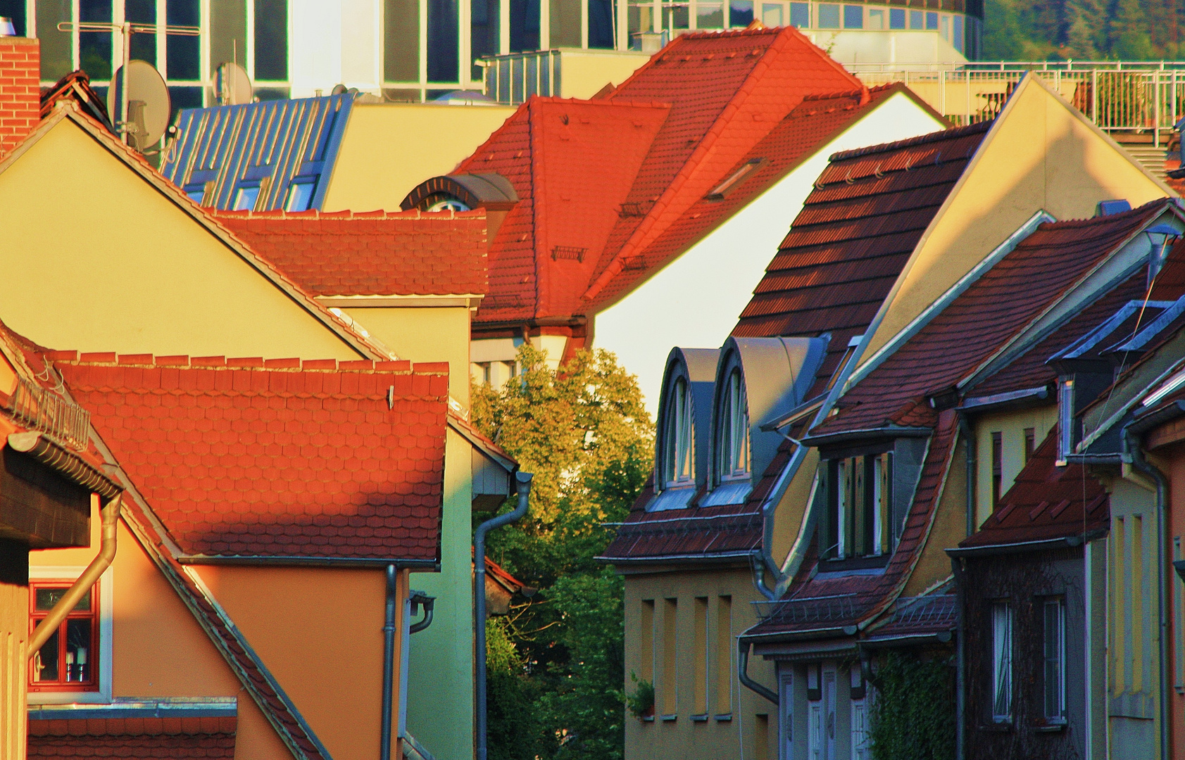 Dachlandschaft in Jena