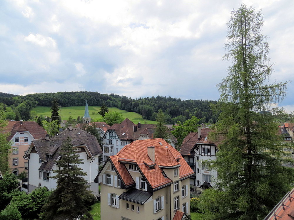 Dachlandschaft St. Georgens / St. Gallen