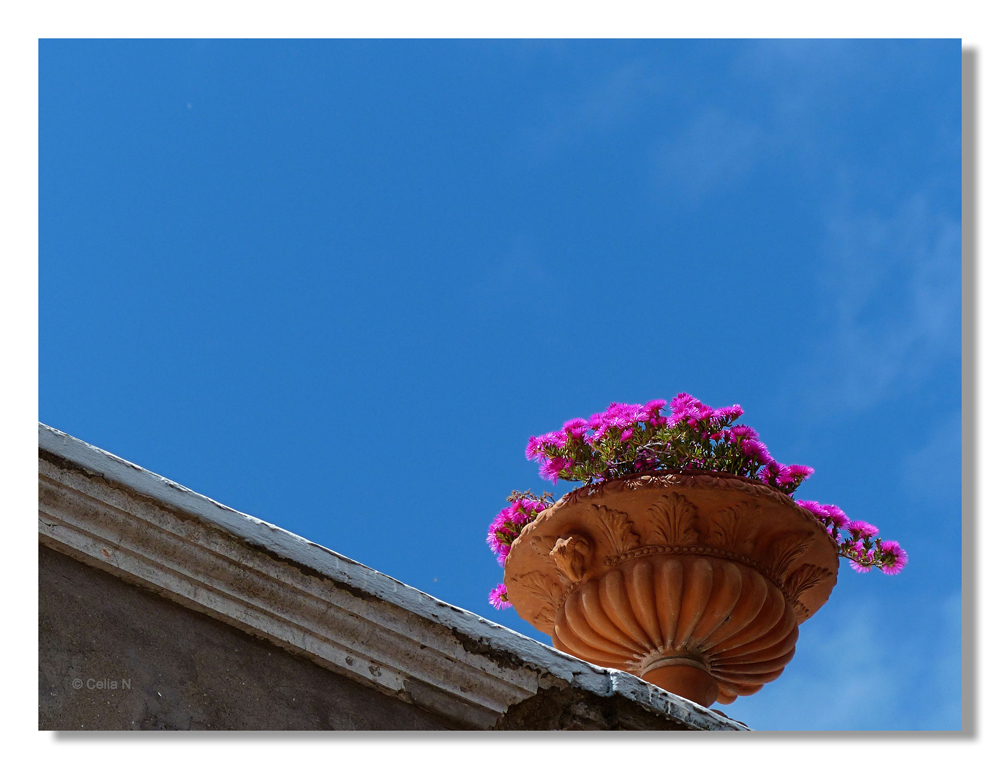 Dachschmuck im Süden